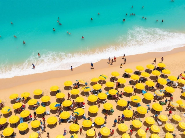 ЛДПР предложила исключить выходные из отпуска: 28 дней — только рабочие